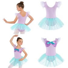Girls Leotard Tulle Skirt Tutu Dress Dance Class Ballet Dress Princess Style