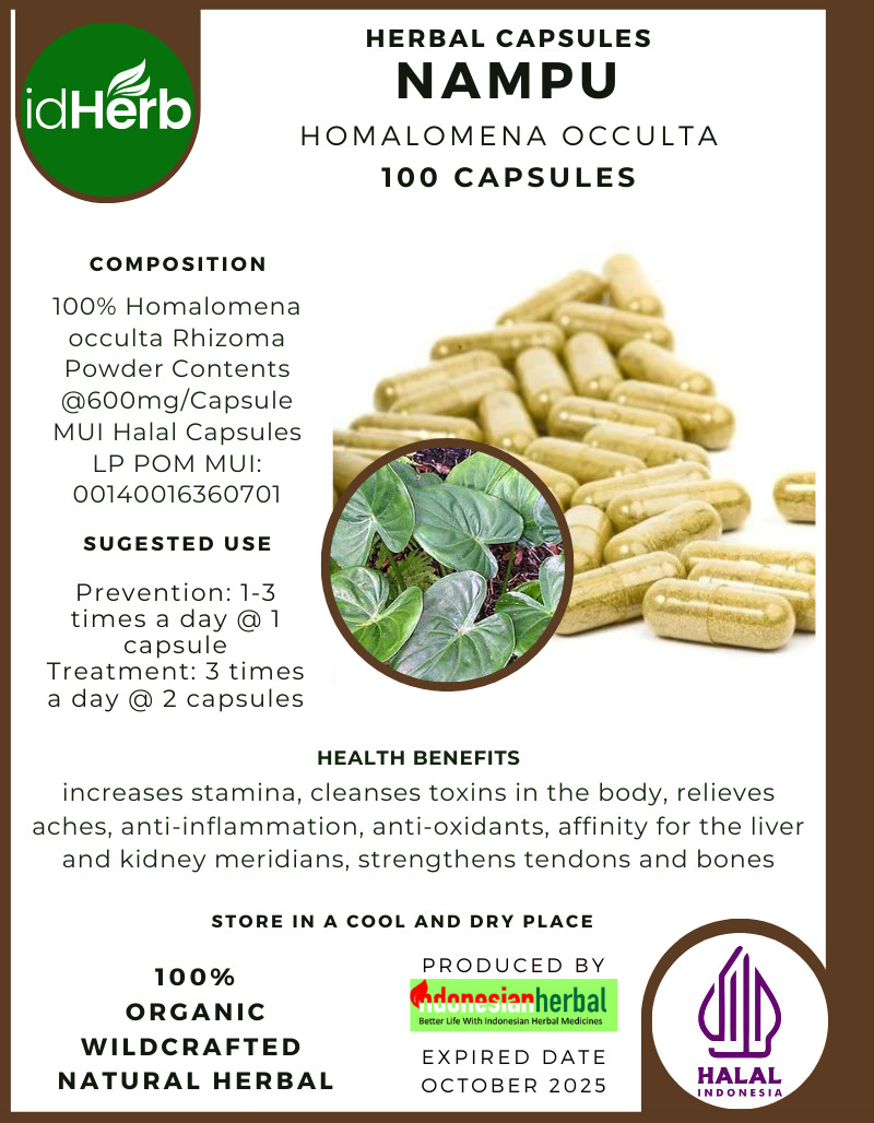 Cápsulas Homalomena Occulta Nampu Natural Premium Hierbas Orgánicas