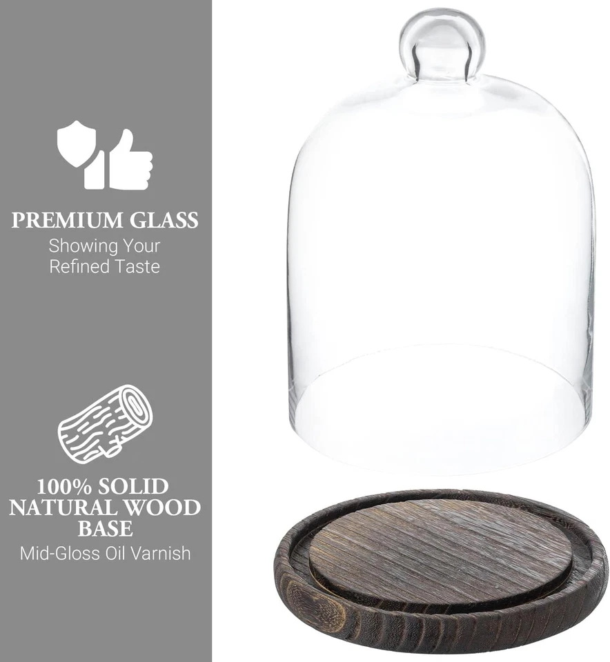 Vitrina de vidrio transparente de mesa con base de madera marrón, tarro de campana Foto 2 de 4