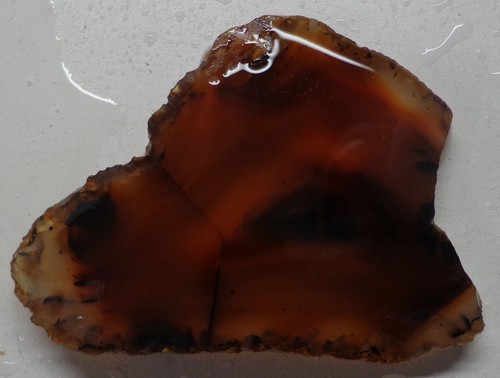 WRG- Montana Agate Slab 34 grams Lapidary Old Stock - Picture 2 of 6