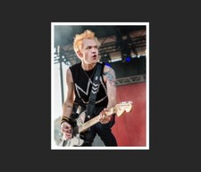 sum 41 12" x 18" PRINT Order in Decline 13 Voices Chuck All Killer No Filler cd
