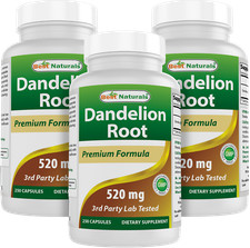 3 Pack Best Naturals Dandelion Root 520 mg 250 Capsules