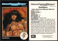 1991 TSR AD&D Gold Dungeons & Dragons RPG Fantasy Art Card #84 ~ Warrior Wizard