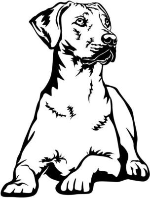 RHODESIAN RIDGEBACK Aufkleber - Ridgeback Autoaufkleber - sticker - Kontur #07 - Bild 1 von 3