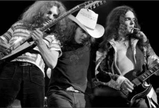 LYNYRD SKYNYRD Live Photo Framing Print 8 x 10 Music Legend Reproduction