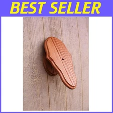 European Mount Skull Wall Display