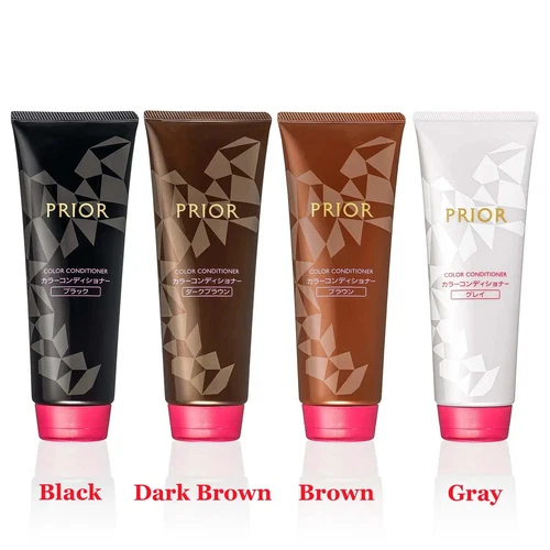 Shiseido Prior Color Conditioner N Black Dark Brown Gray Shampoo Damaged Hair JP