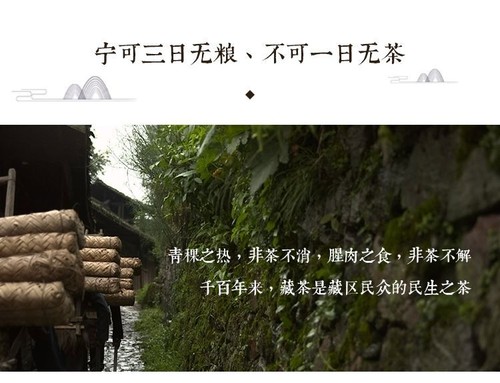 Ya'an Tibetan Tea Buds torta rotonda fine 雅安藏茶芽细小圆饼 (一芽一叶)黑茶砖茶金尖康砖蒙顶山茶 - Foto 6 di 19