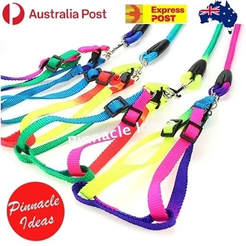 Nylon Puppy Training Lead Leash Recall Rope Obedience Long Slip Walk Adjustable