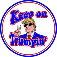 TRUMP 2024 STICKER ANTI DEMOCRAT PRESIDENT MAGA DEPLORABLE DECAL BUMPER AMERICA