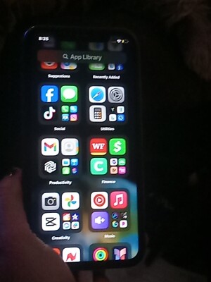 Iphone 11 with TikTok downloaded.
