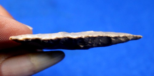 Dalton Classic Point Authentic Prehistoric Artifact Arrowhead Native Indian - Picture 6 of 8