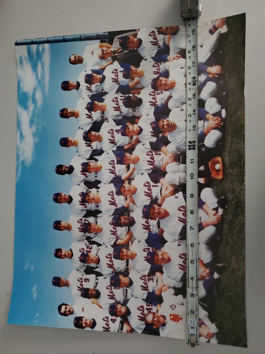 The Amazing Mets Champions ポスター額入り The Amazing Mets Champions ポスター額入り