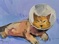 Cat Neck Cone  Cute PRINT Painting By Artist Jose Trujillo 16x20 Inches