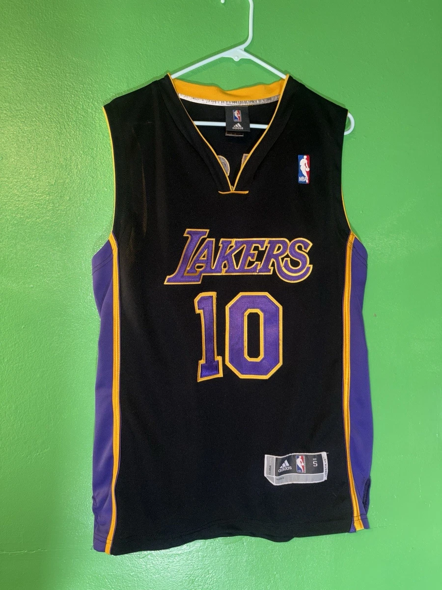NBA Los Angeles Lakers Steve Nash #10 Mitchell & Ness Basketball