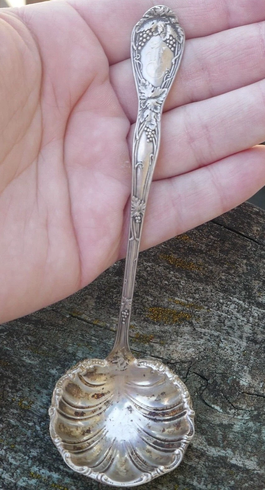 Antique Sterling Silver Sauce Ladle in Grape & Grape Leaf Pattern - 15.1 Grams