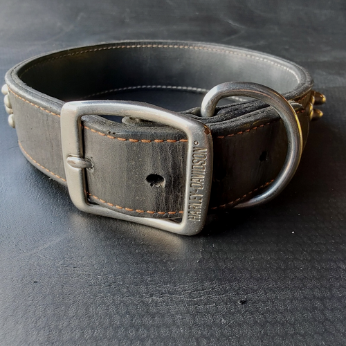 Harley Davidson Black Leather Studded 24“Pet Collar - Picture 2 of 9