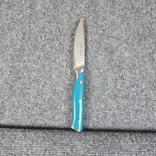 The Pioneer Woman Turquoise Handle Paring Knife Stainless Steel Blade