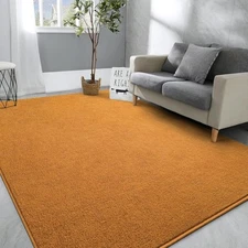 Hutha Large Area Rugs for Bedroom Living Room, 6x9 Orange Feet, 