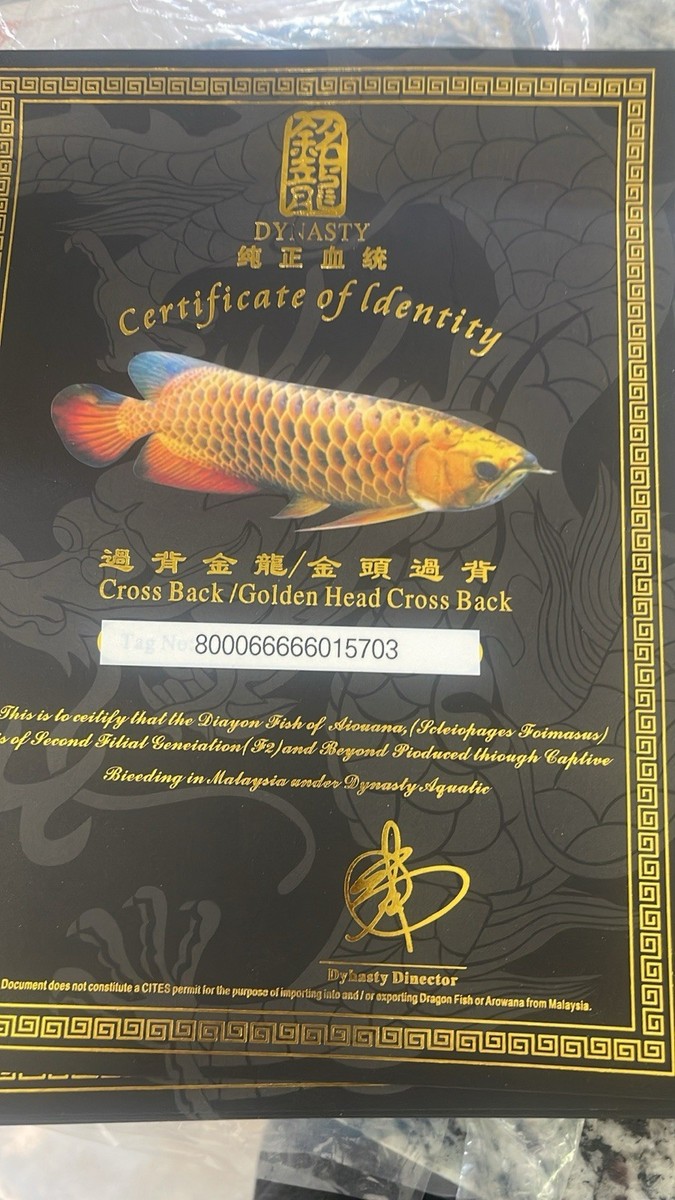 趣味・スポーツ・実用 The Asian Arowana by Goh & Chua Asian Crossback Arowana Certificate | eBay