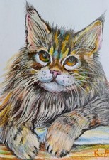ACEO cat watercolor pencil by the author original 3,5