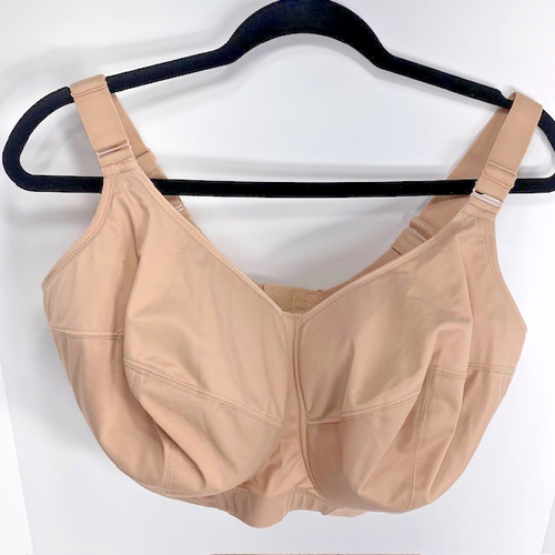 Celeste Soft Cup Bra - Fawn – We Fit Lingerie