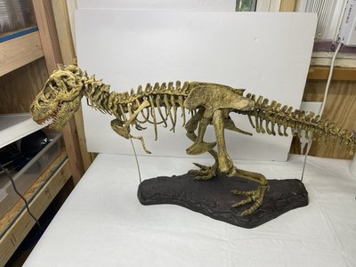 木彫　Tyrannosaurus rex 1/10　全身骨格模型 約97cm 木彫 Tyrannosaurus rex 1/10 全身骨格模型 約97cm 木彫