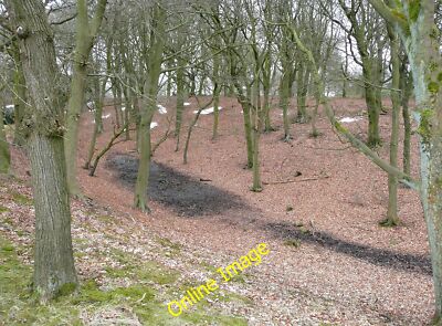 Foto 12x8 Hohl in Stoney Ridge Plantage Shipley \/SE1437 Dies ist nicht s c2013