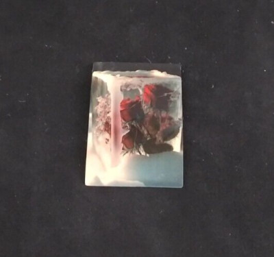Dark Red Roses Inside Ice Block Sitting In Snow Sticker 1.75'' x 1.25''