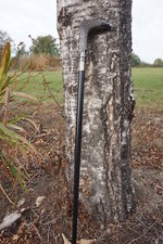 H5913 CANNE   TETE D AIGLE  OISEAU   METAL  GOTHIQUE HEROIC  FANTASY MONTAGNE 