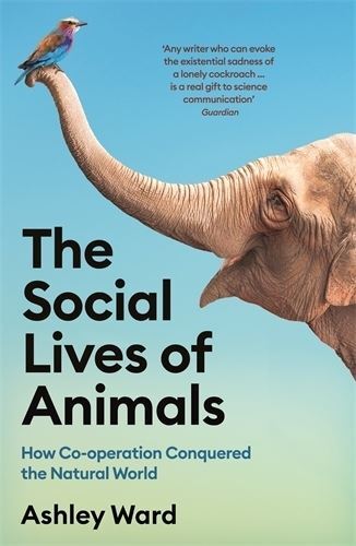 The Social Lives of Animals New Book, Ashley Ward, Paperback