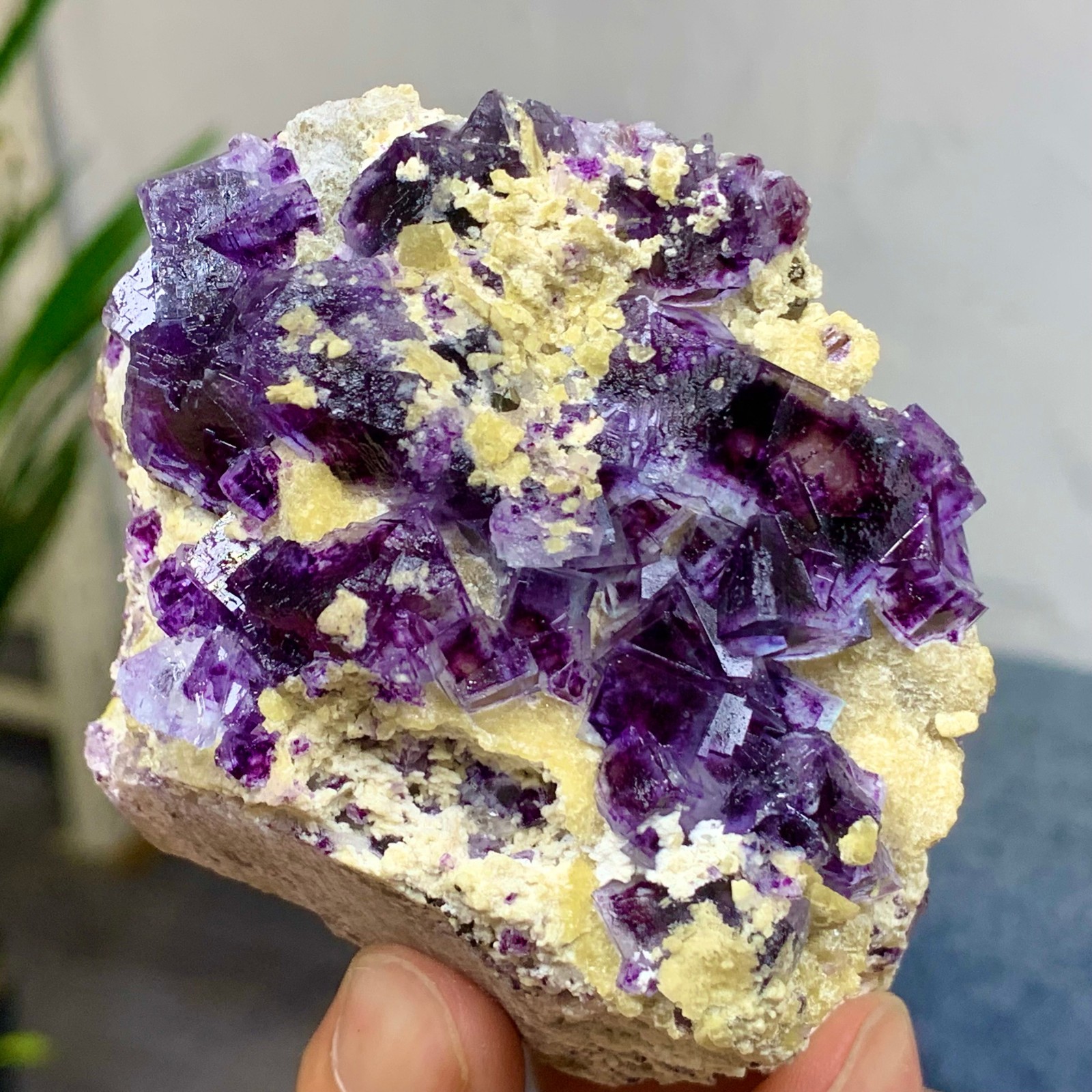 Natural Purple Phantom Cube Fluorite Crystal Specimen from Yaogangxian  