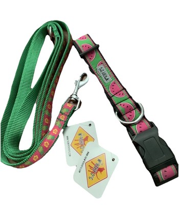 The Worthy Dog  Pineapple Leash With Watermelon Collar