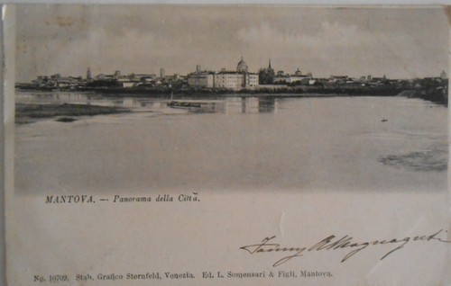 Cartolina Mantova panorama della città