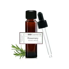 Rosemary EO. Scalp Oil. Hairline/Hair Oil. Rosmarinus officinalis