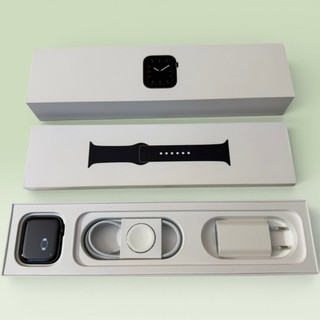 Apple Watch Series 5 44mm Stainless Steel Case in Space Black Sport Band
