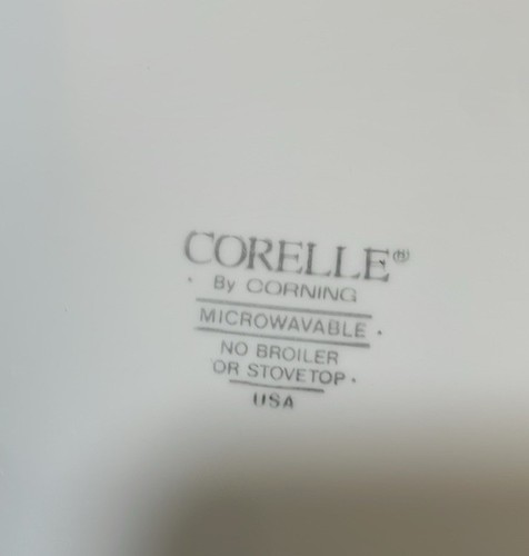 Corelle Corning BLACK ORCHID Dinner Plates 10-1/4" Flowers Green Leaves Set of 2 - Picture 6 of 6