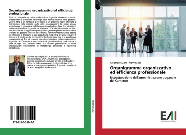Aloumedjo Zam Thierry Farrel | Organigramma Organizzativo Ed Efficienza...-image