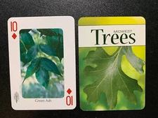 Swap Playing Card  MIDWEST TREES Green Ash TEN OF DIAMONDS Stan  Tekiela