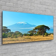 Wall Mounted Art Glass Picture Home Deco Photo 120x60 Amboseli National Park