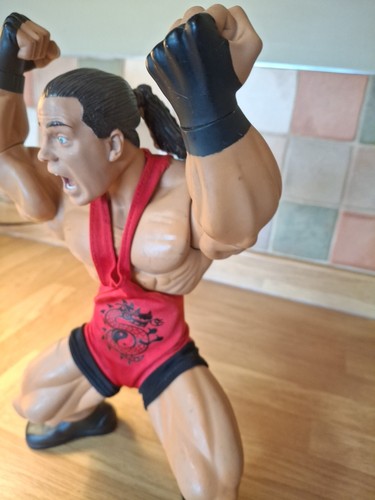 JAKKS WWE RING GIANTS ROB VAN DAM 14" AZIONE POSABILE sciolto 2006 - Foto 8 di 24