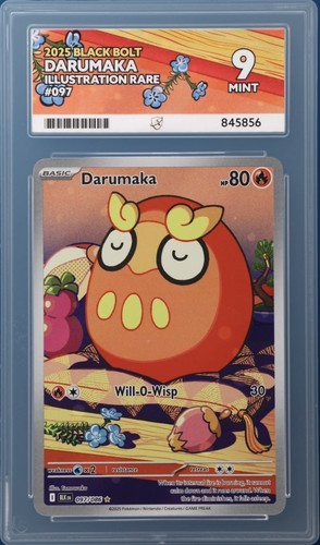 Darumaka graded ACE 9 for sale on eBay