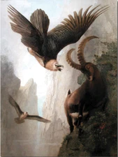 oil painting handpainted on canvas "Bearded Vultures Attacking an Alpine Ibex  "