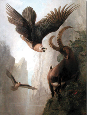oil painting handpainted on canvas ''Bearded Vultures Attacking an Alpine Ibex  ''