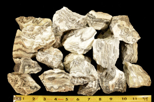 Piedra preciosa áspera de curación de chakra raíz natural de ónix cebra 3" 4-7 OZ - Imagen 4 de 4