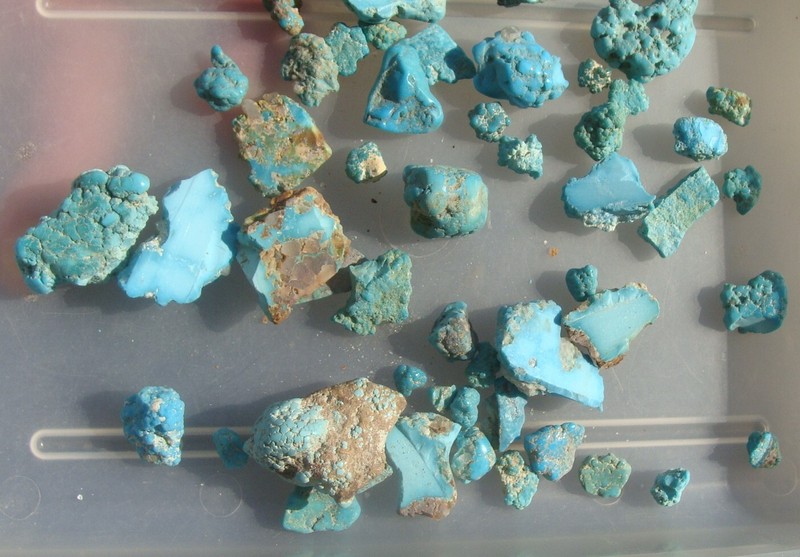 Darling Darlene Spiderweb Turquoise Un Drilled Nuggets Beads NEV 457 KTS 