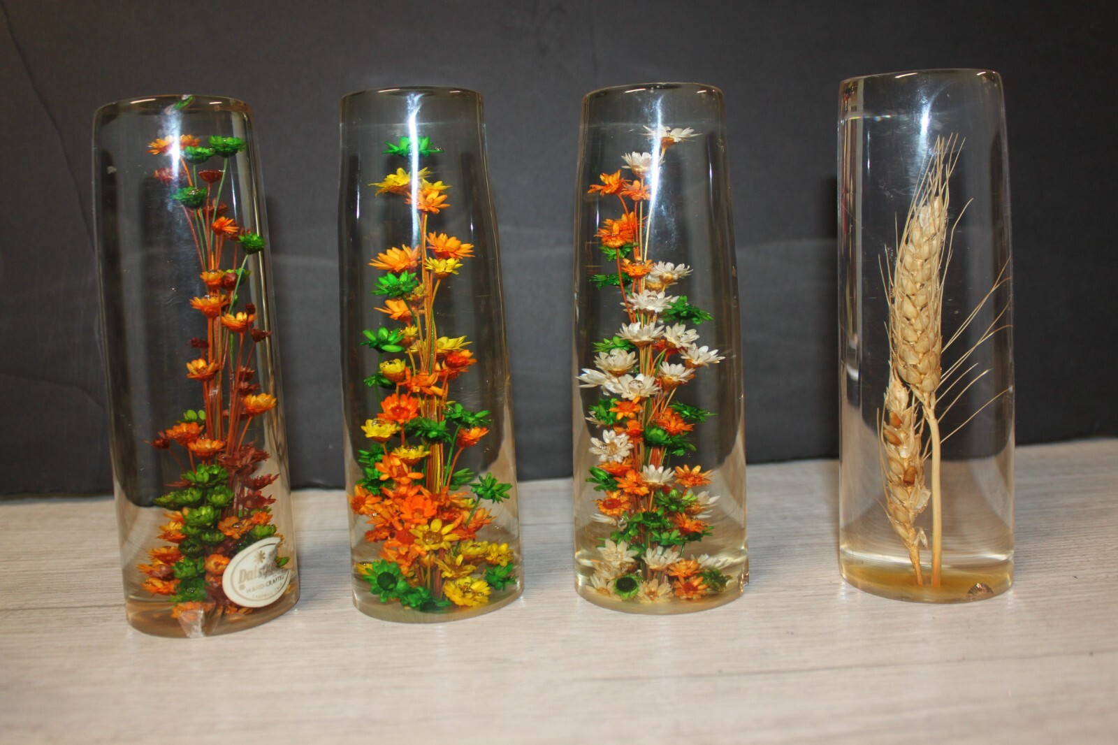 Vintage Daisyglas Co. Lucite Resin Real Dried Flowers set of 4 + 2 light up Base