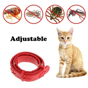 Details About Katze Anti Acari Milben Zecken Halsband Nein Flöhe Kätzchen Heilmittel