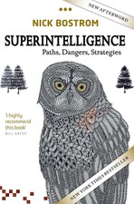 SUPERINTELLIGENCE: PATHS, DANGER