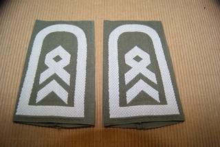 Bundeswehr Schulterklappen Oliv/Weiß Stabsfeldwebel Heer bitte ansehen